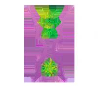 �������ޱ� �й�vsԼ��20250809