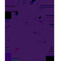 Ӣ������ Ŧ��˹����VS�����ظ���20260208